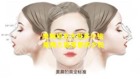 隆胸填充大概多少钱 隆胸大概需要多少钱